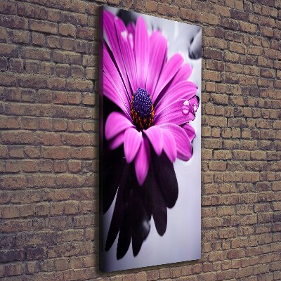 Cuadro canvas decorativo para salón vertical Gerbera rosa