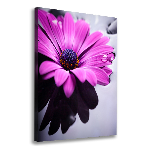 Cuadro canvas decorativo para salón vertical Gerbera rosa
