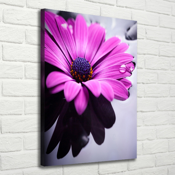 Cuadro canvas decorativo para salón vertical Gerbera rosa