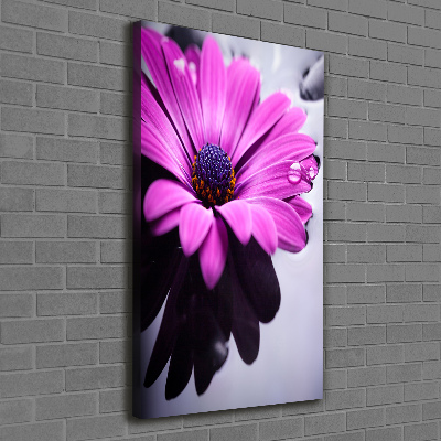 Cuadro canvas decorativo para salón vertical Gerbera rosa