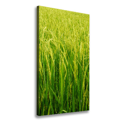 Cuadro canvas decorativo para salón vertical Plantación de arroz