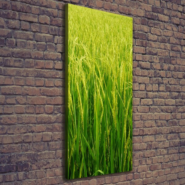 Cuadro canvas decorativo para salón vertical Plantación de arroz