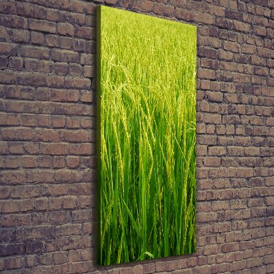 Cuadro canvas decorativo para salón vertical Plantación de arroz