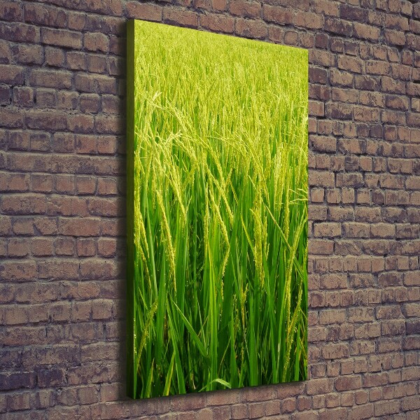 Cuadro canvas decorativo para salón vertical Plantación de arroz