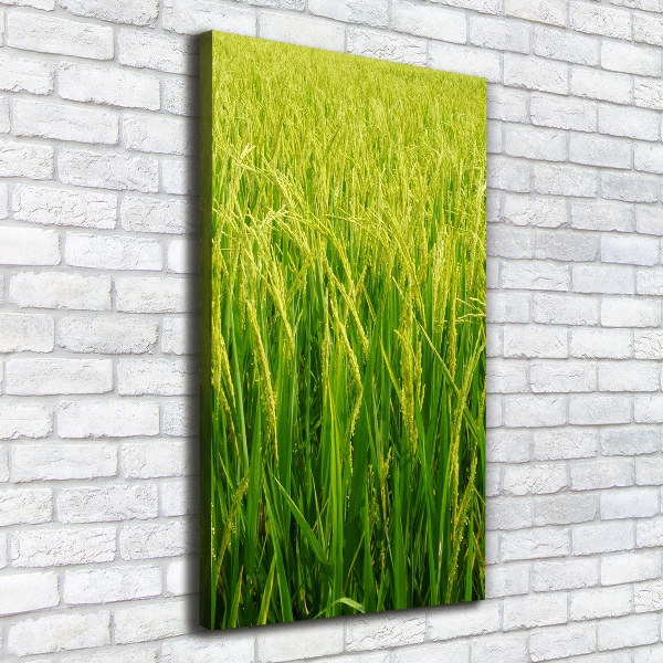 Cuadro canvas decorativo para salón vertical Plantación de arroz