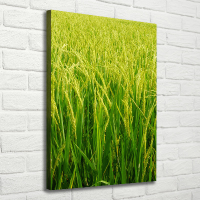 Cuadro canvas decorativo para salón vertical Plantación de arroz