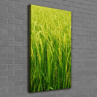 Cuadro canvas decorativo para salón vertical Plantación de arroz