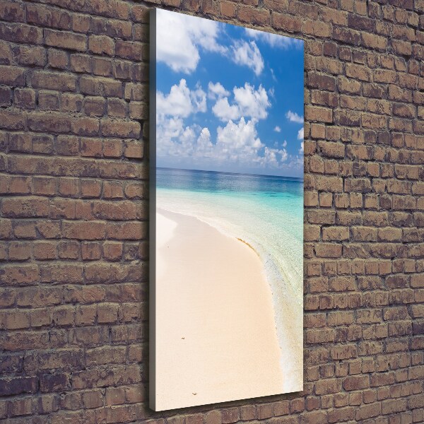 Cuadro canvas decorativo para salón vertical Playa de Maldivas