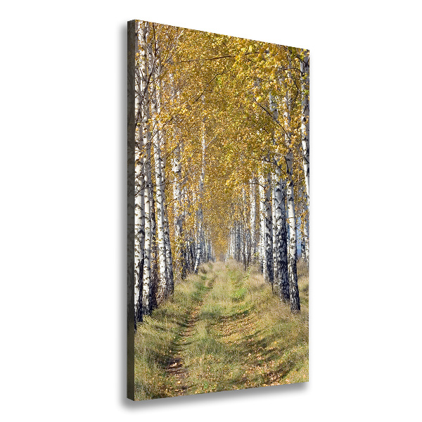 Cuadro canvas decorativo para salón vertical bosque de abedules
