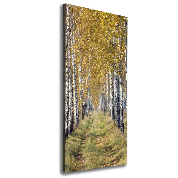 Cuadro canvas decorativo para salón vertical bosque de abedules
