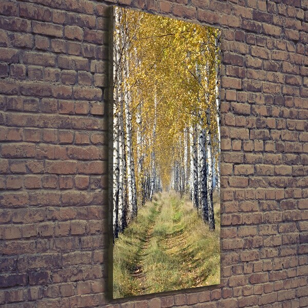 Cuadro canvas decorativo para salón vertical bosque de abedules