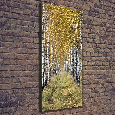 Cuadro canvas decorativo para salón vertical bosque de abedules
