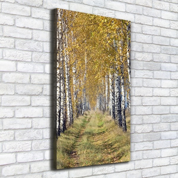 Cuadro canvas decorativo para salón vertical bosque de abedules