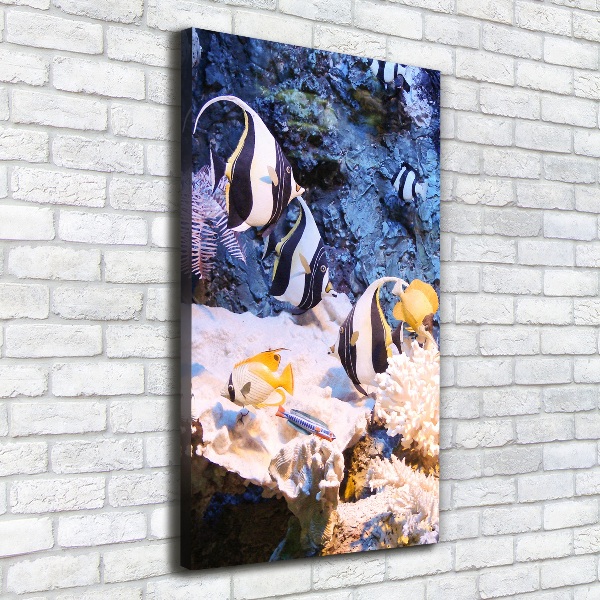 Cuadro canvas decorativo para salón vertical Arrecife de coral