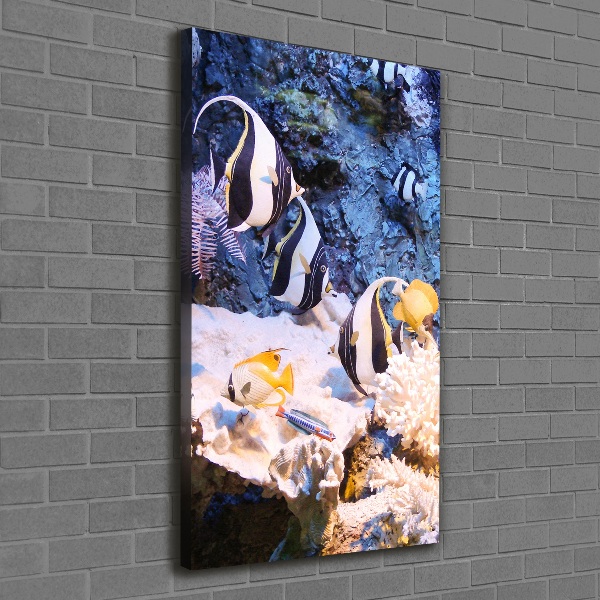 Cuadro canvas decorativo para salón vertical Arrecife de coral