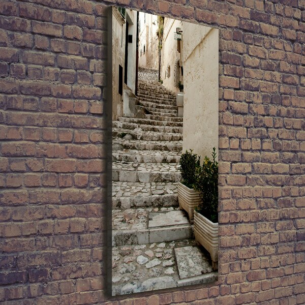 Fotografía en lienzo vertical Una calle con encanto