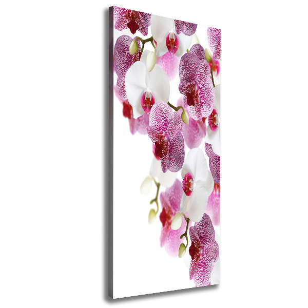 Cuadro canvas decorativo para salón vertical Orquídea