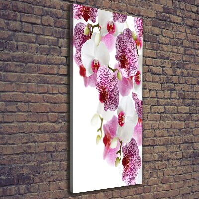 Cuadro canvas decorativo para salón vertical Orquídea