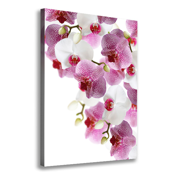 Cuadro canvas decorativo para salón vertical Orquídea