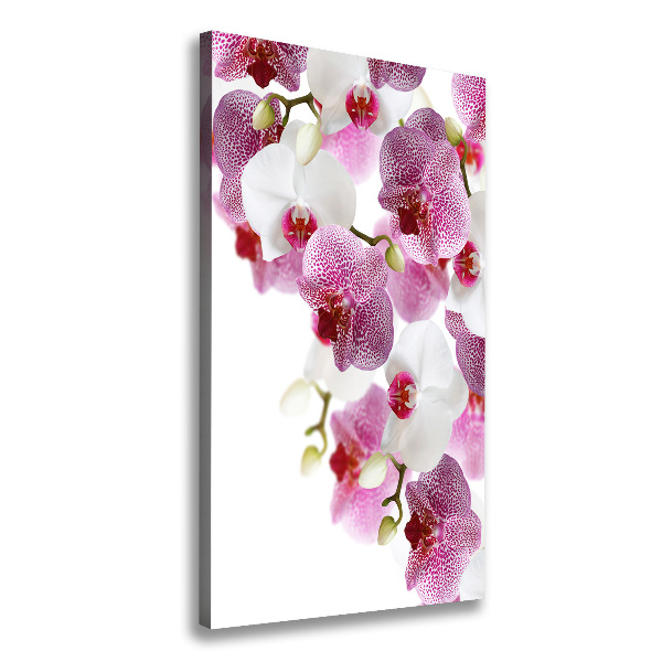 Cuadro canvas decorativo para salón vertical Orquídea