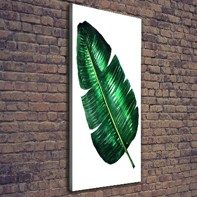 Cuadro canvas decorativo para salón vertical Hoja de plátano