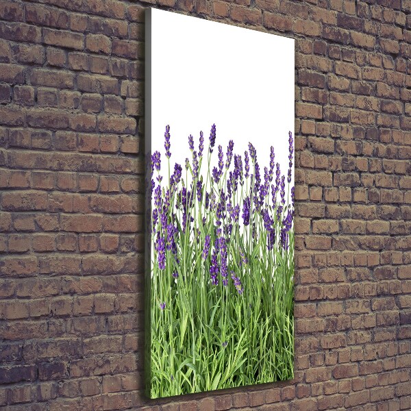 Cuadro moderno en lienzo resistente uv vertical campo de lavanda