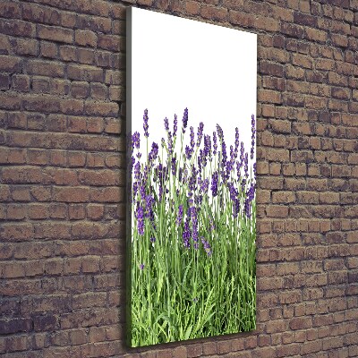 Cuadro moderno en lienzo resistente uv vertical campo de lavanda
