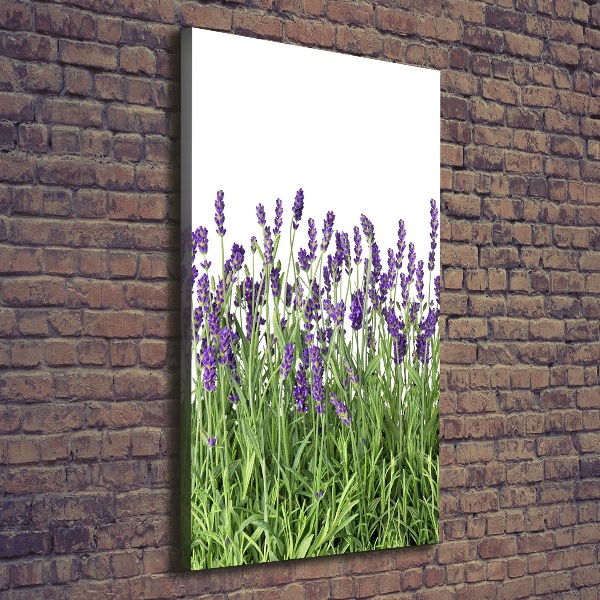 Cuadro moderno en lienzo resistente uv vertical campo de lavanda