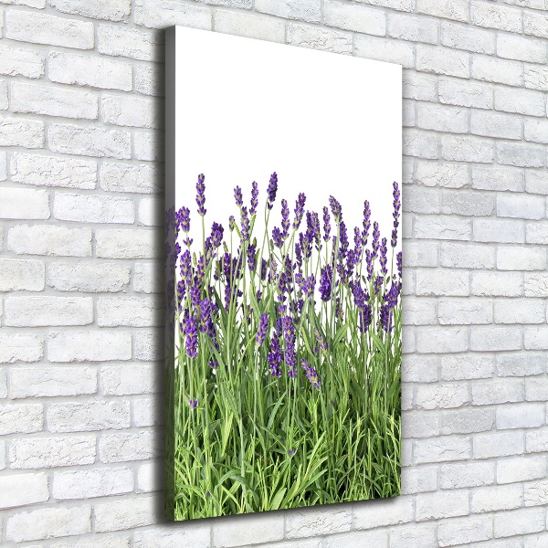 Cuadro moderno en lienzo resistente uv vertical campo de lavanda