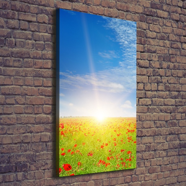 Foto obraz na płótnie do salonu pionowy Pole maków