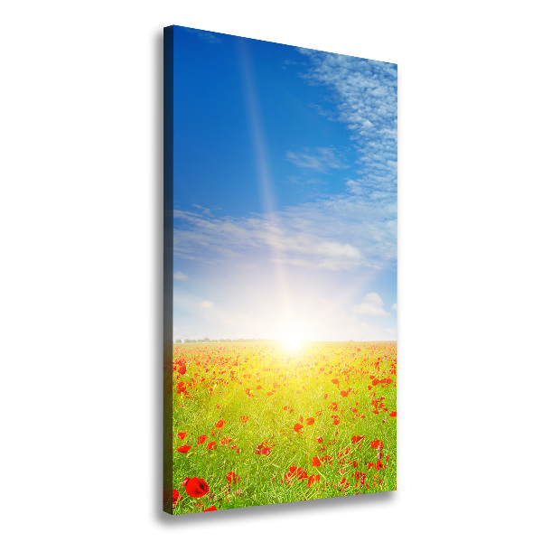 Fotografía en lienzo vertical Campo de amapolas