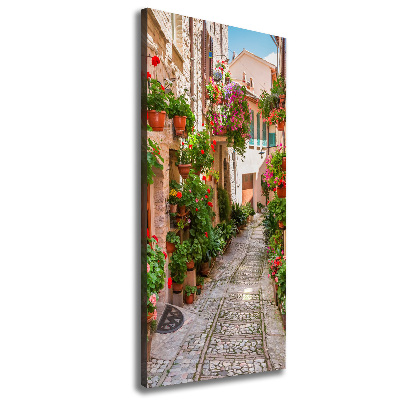 Cuadro canvas decorativo para salón vertical calles italianas