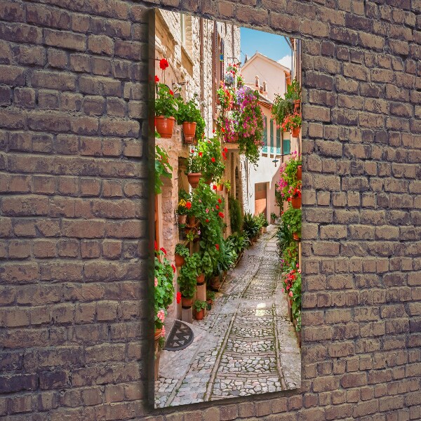 Cuadro canvas decorativo para salón vertical calles italianas