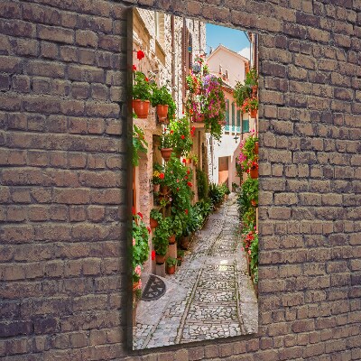 Cuadro canvas decorativo para salón vertical calles italianas