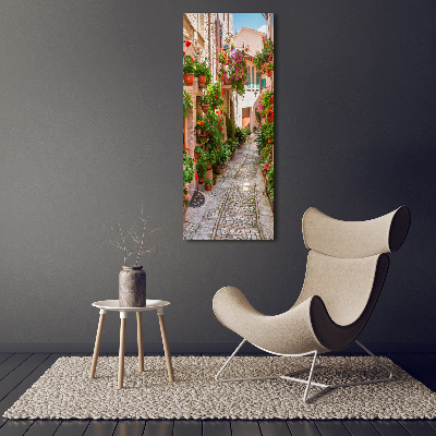 Cuadro canvas decorativo para salón vertical calles italianas
