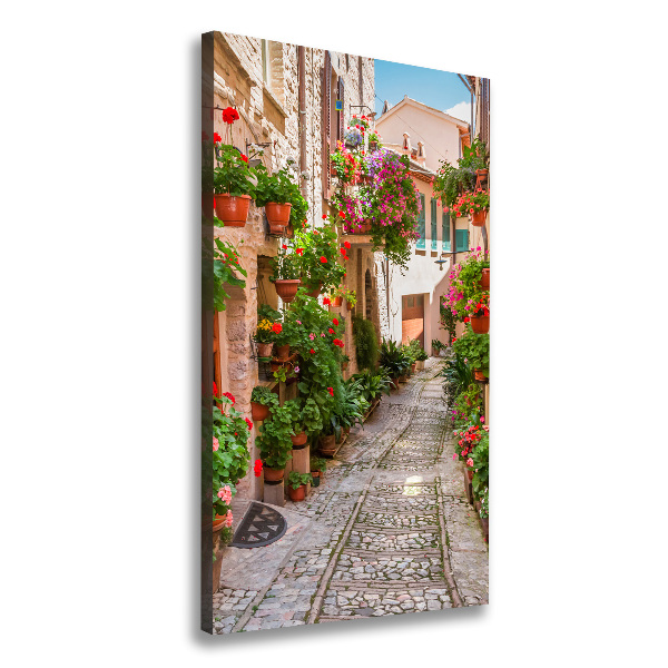 Cuadro canvas decorativo para salón vertical calles italianas
