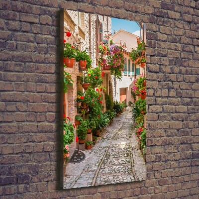 Cuadro canvas decorativo para salón vertical calles italianas