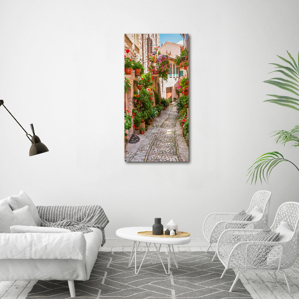 Cuadro canvas decorativo para salón vertical calles italianas