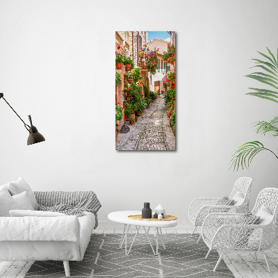 Cuadro canvas decorativo para salón vertical calles italianas