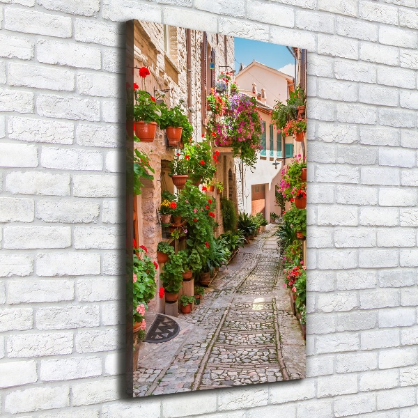 Cuadro canvas decorativo para salón vertical calles italianas