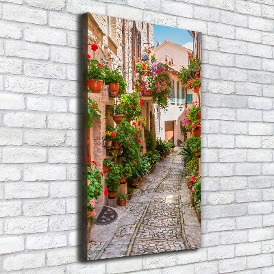 Cuadro canvas decorativo para salón vertical calles italianas
