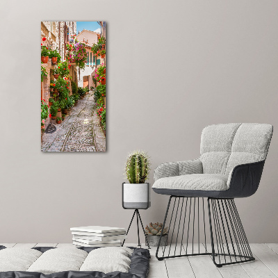 Cuadro canvas decorativo para salón vertical calles italianas