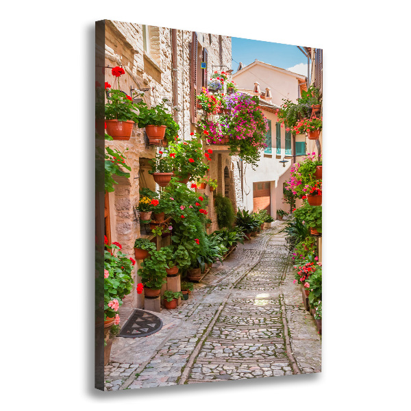 Cuadro canvas decorativo para salón vertical calles italianas