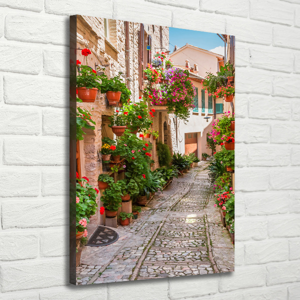 Cuadro canvas decorativo para salón vertical calles italianas