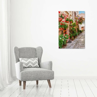 Cuadro canvas decorativo para salón vertical calles italianas