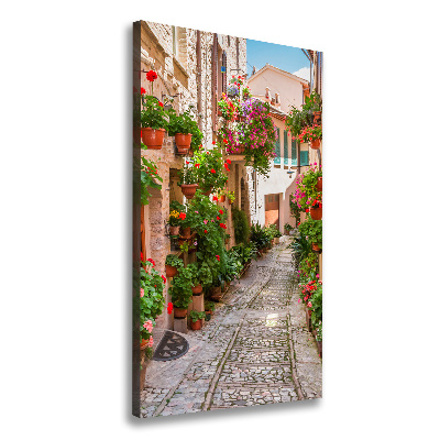 Cuadro canvas decorativo para salón vertical calles italianas