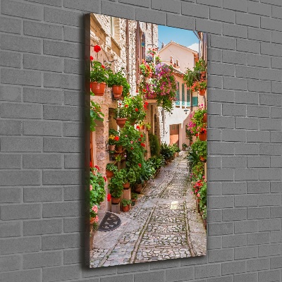 Cuadro canvas decorativo para salón vertical calles italianas
