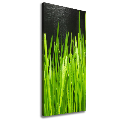 Cuadro canvas decorativo para salón vertical Briznas de hierba