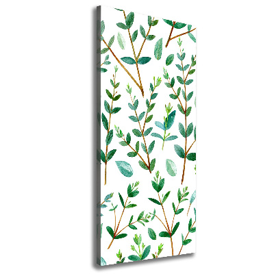 Foto obraz na płótnie pionowy Gałązki eukaliptusa