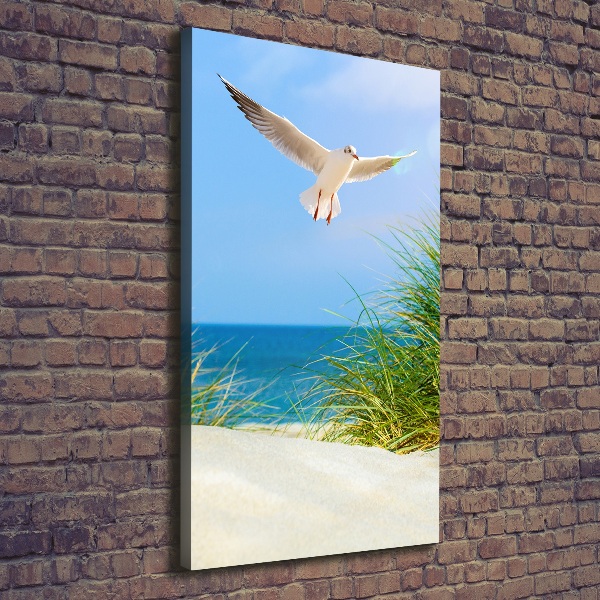 Cuadro moderno en lienzo resistente uv vertical Gaviota sobre las dunas